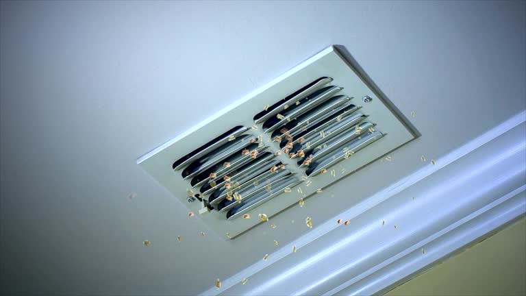 Best Air Duct Cleaning Near Me  in Norwood, NC