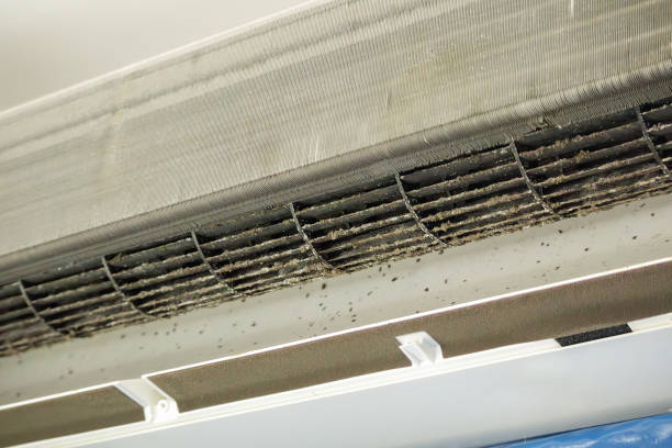 Best Best Air Duct Cleaning Company  in Norwood, NC